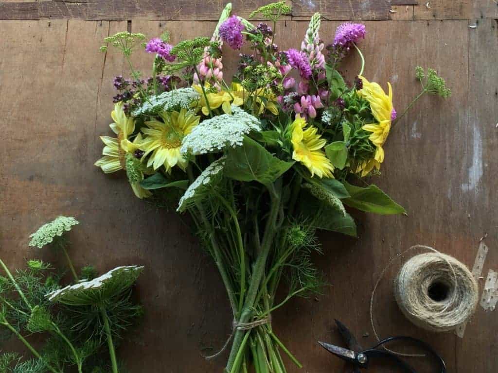 spring flowers diggers masterclass