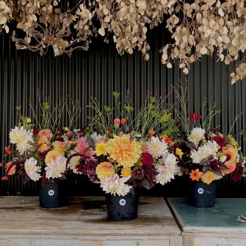 three pots of flowers in front of the shed