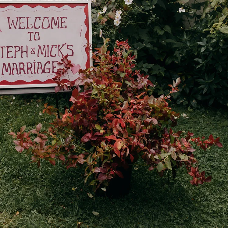 Bucket Of Foliage